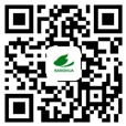 Scan code